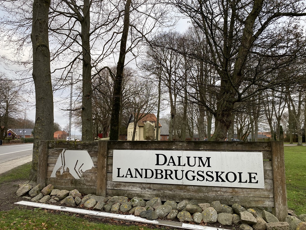 Traefældning-Stubfraesning-Odense-Fyn – Dalum-Landbrugsskole-