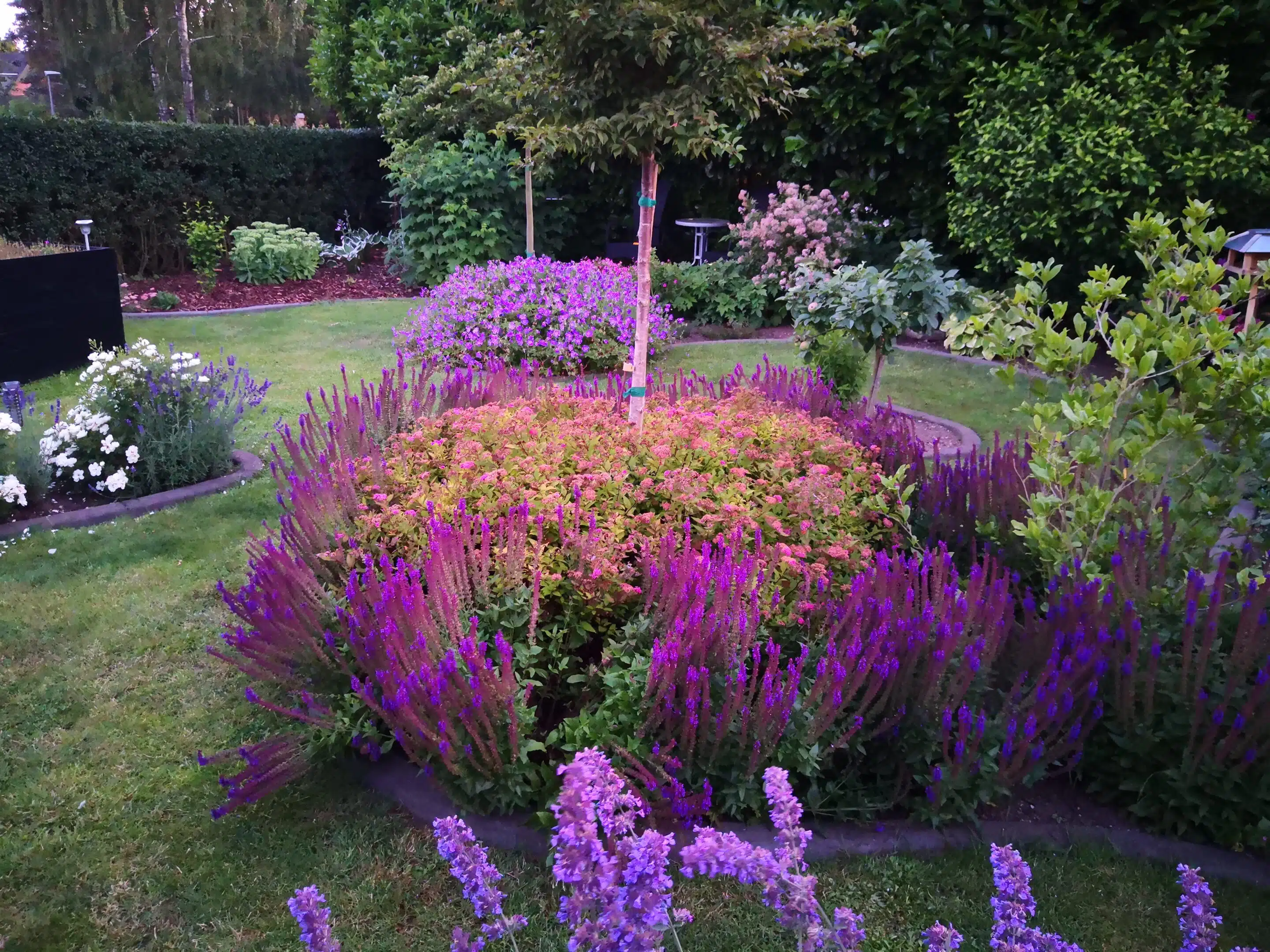 Anlaeggelse-smuk-beplantning-havebede-kant-