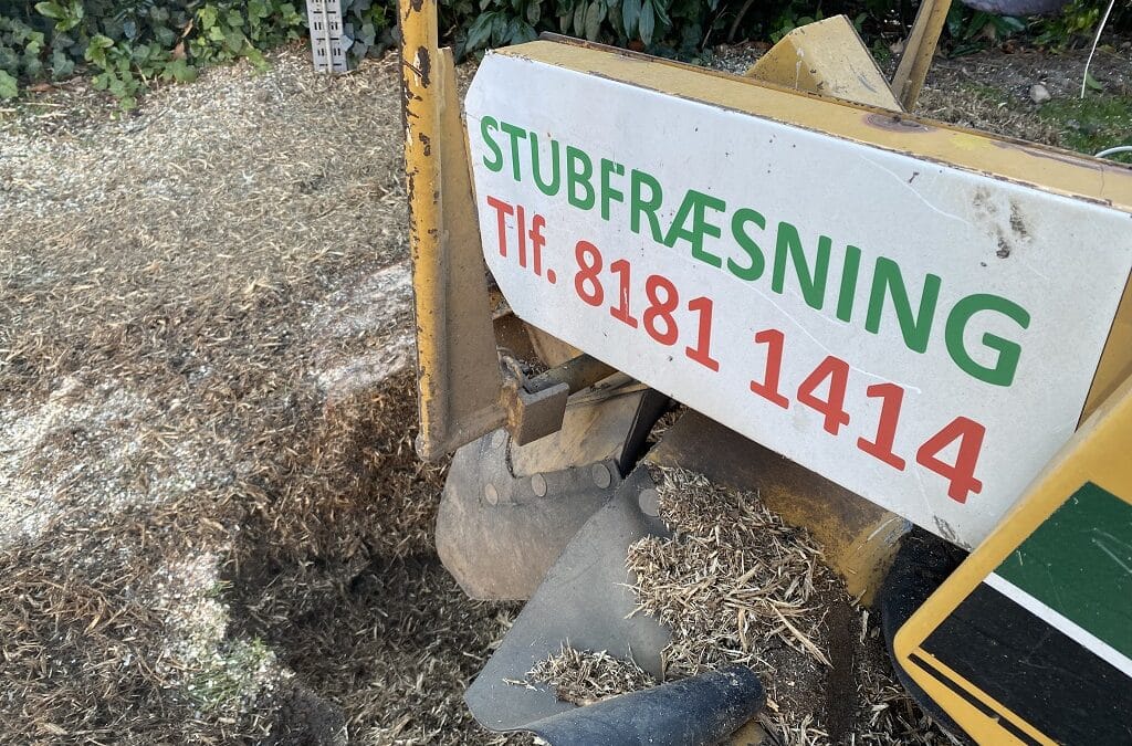 Stubfræsning i Kongens Lyngby – Vi fjerner stor træstub fra haven i Kongens Lyngby
