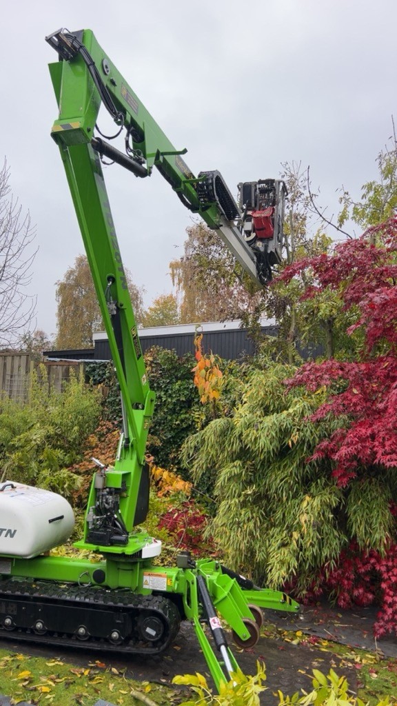 beskaering-af-traeer-med-lift-oelsted-nordsjaelland-dansk-haveservice