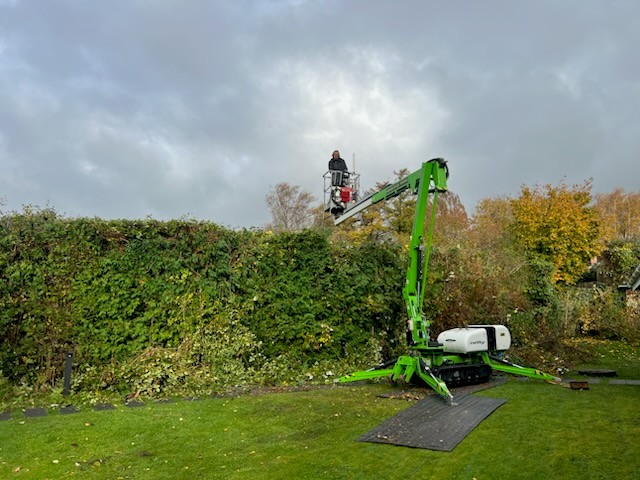 Beskæring af hække, buske og træer med lift i Ølsted og Nordsjælland