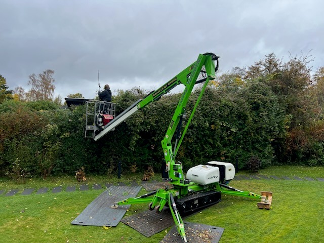 haekklipning-med-lift-oelsted-nordsjaelland-dansk-haveservice