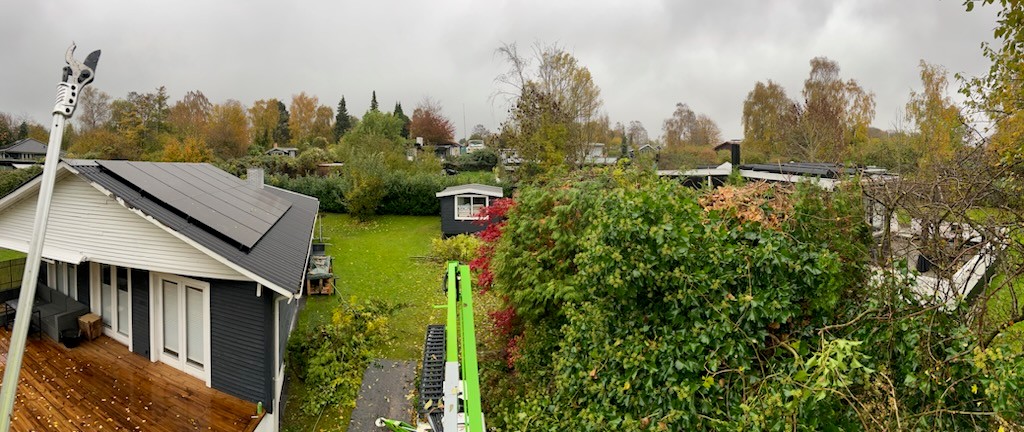 topbeskaering-af-haek-og-traeer-oelsted-nordsjaelland-dansk-haveservice