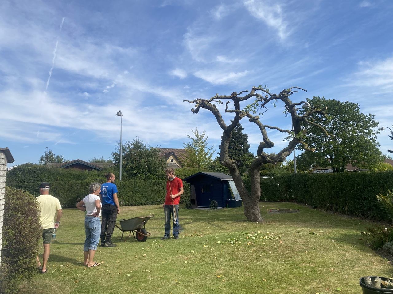 1 2025-09-01 14.15.47 aebletrae-beskaering-hvidovre-tilfreds-kunde-