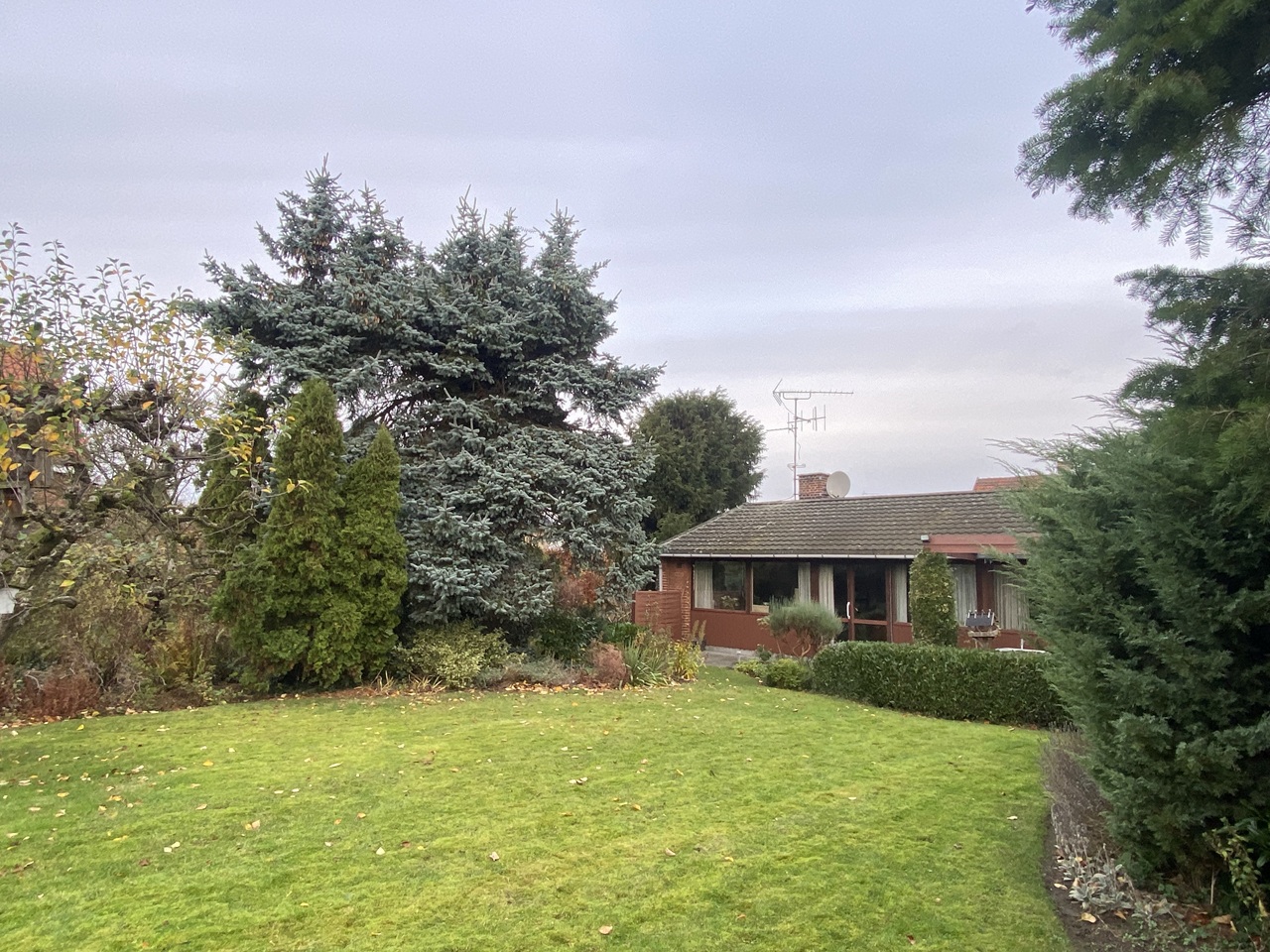 haveservice-Emdrup-blaa-gran-havens-centrale-blikfang