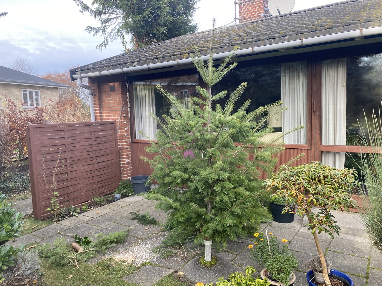 haveservice-Emdrup-kunde-bruger-afklip-som-juletrae