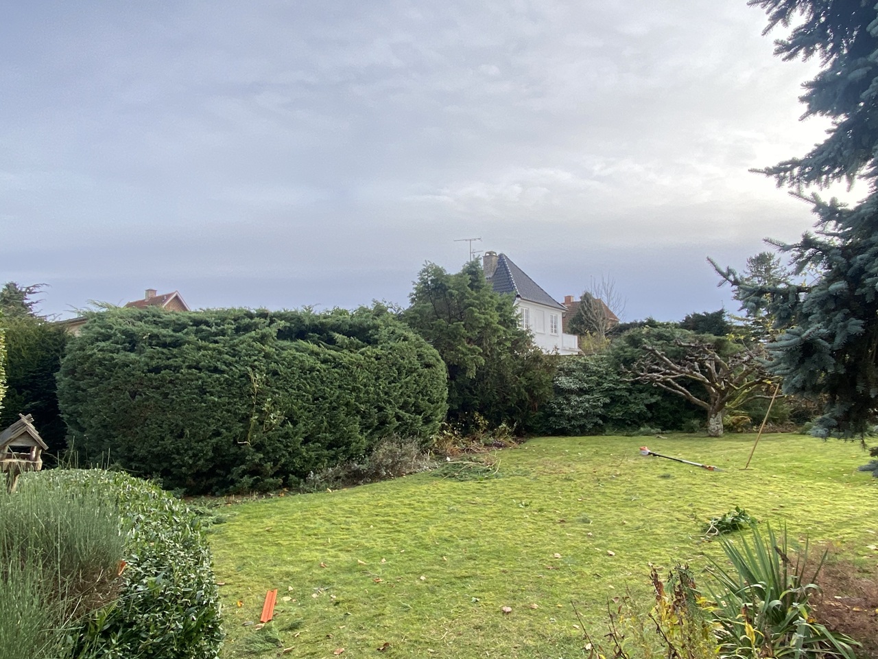 haveservice-Emdrup-færdig-klippet-enebær-haveside