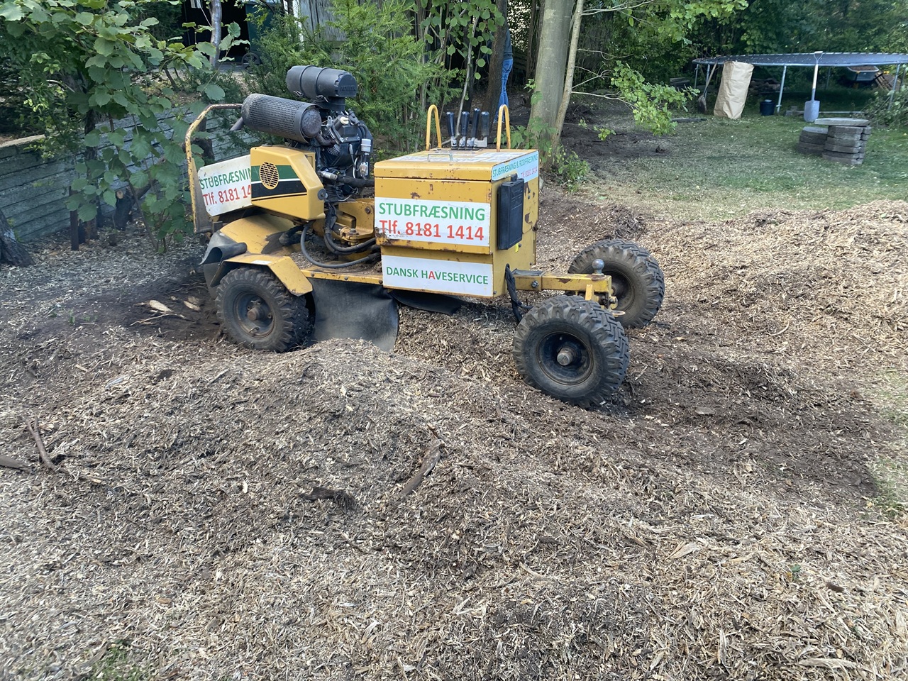 bagsværd-stor-stub-fjernet-savsmuld-efterarbejde bagsværd-stubfræsning-stor-stub-fjernet-savsmuld