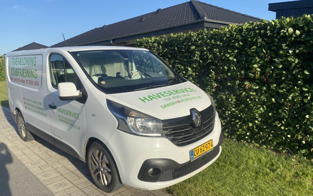 Hækklipning i Odense – skarpe linjer og sund bøgehæk året rundt