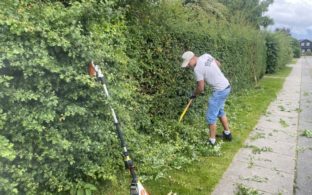 Hækklipning i Vanløse – formklippede buske og klassisk indgang