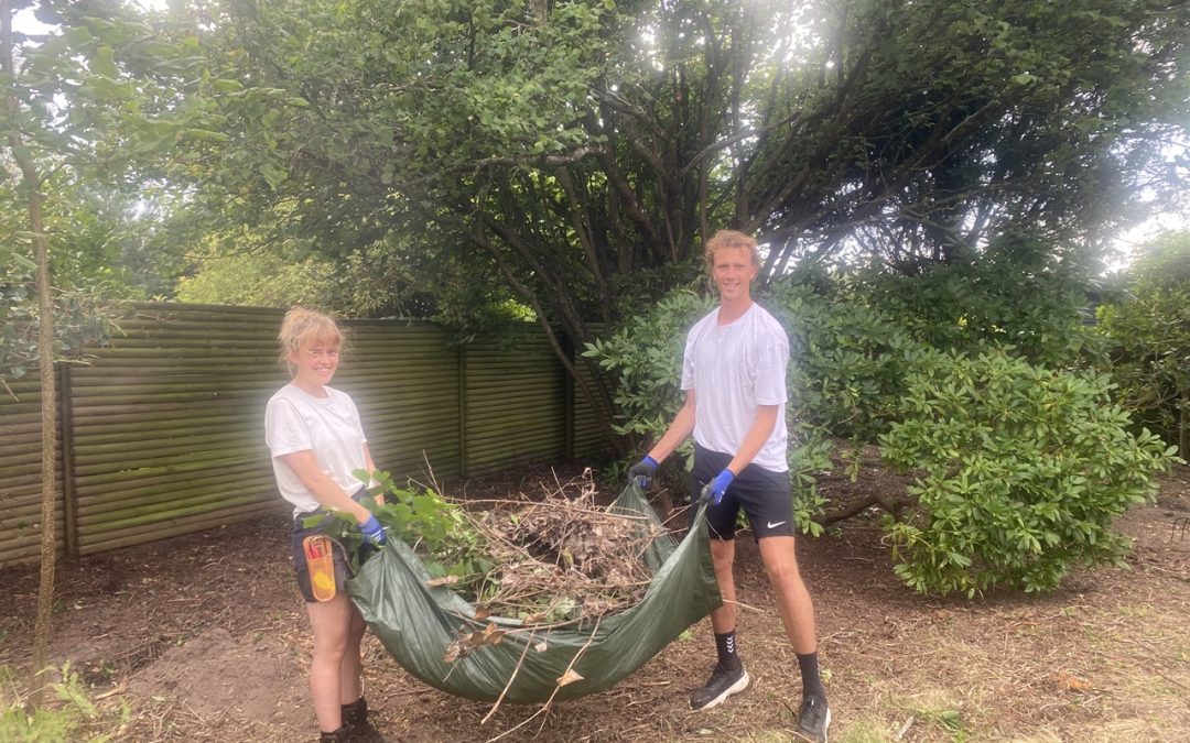 Haveservice i Hornbæk – fra vildnis til idyllisk sommerhushave