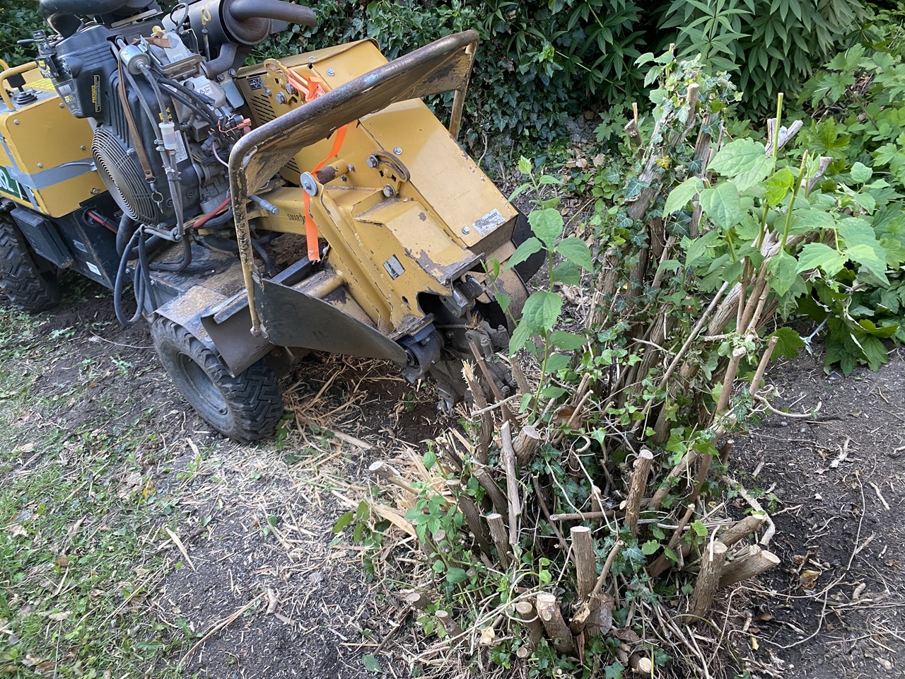 stubfraesning-glumsoe-sydsjaelland-stor-træstub-fjernelse