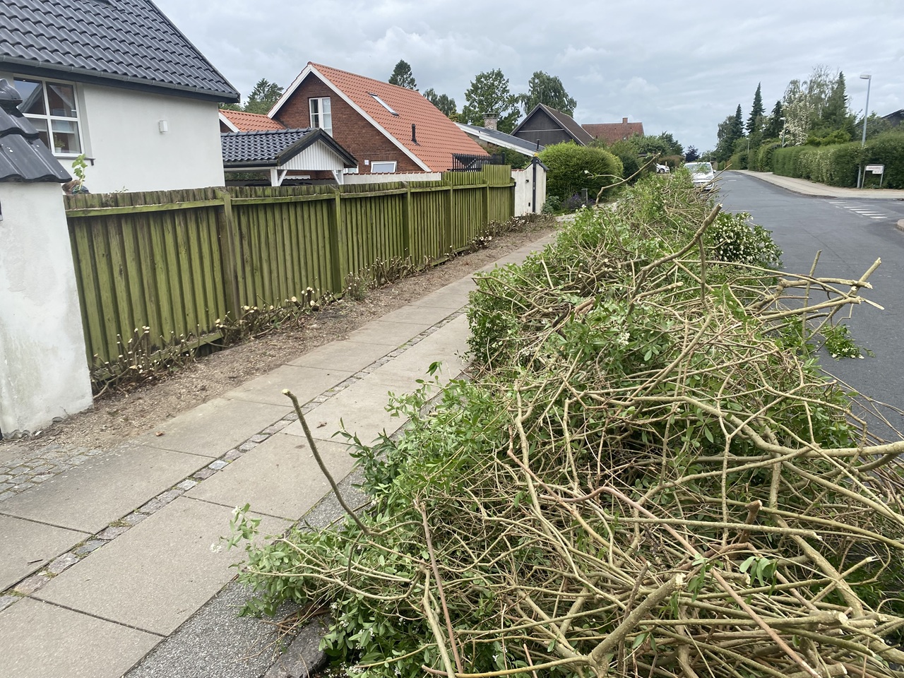 beskaering-af-haek-i-skovlunde-stort-afklip-fra-haard-beskaering-slæbt-ud-paa-vejen--1-2025-06-24-11.13.41