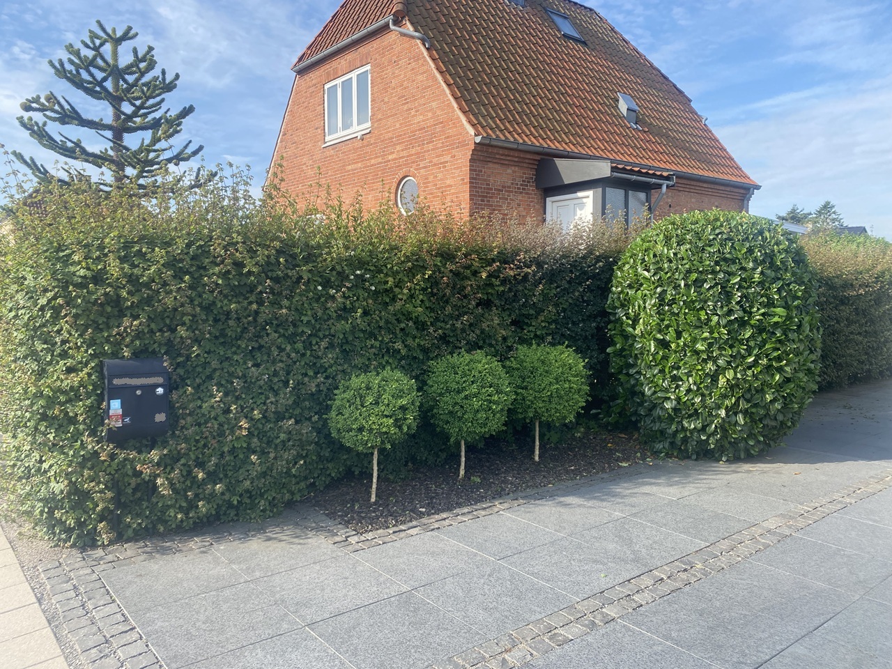 klipning-af-haek-broendby-haek-og-faconklippede-buske-mod-vej--1 2025-06-23 08.13.08