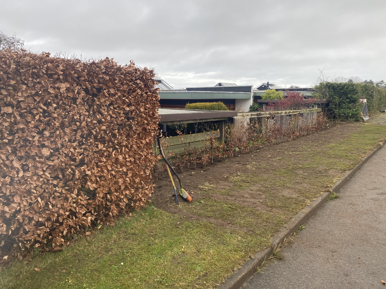 plantning-af-haek-i-nordsjaelland-faerdigplantet-boegehaek--2025-12-09-12.34.41.jpg