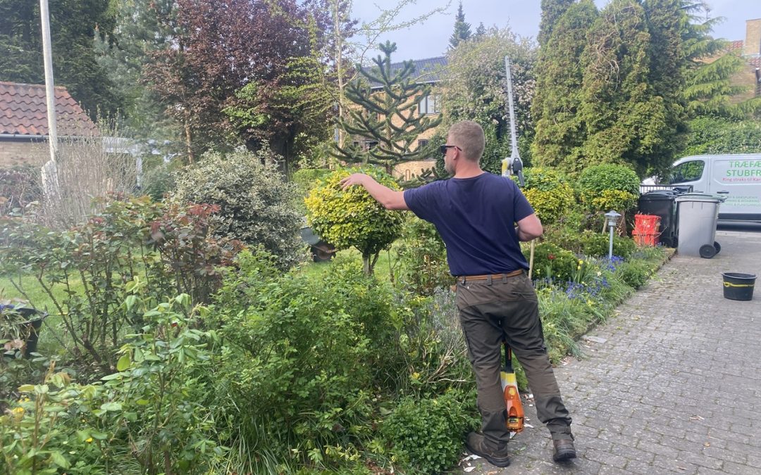 Gartner på Frederiksberg – nænsom vedligeholdelse i klassisk Frederiksberg-have