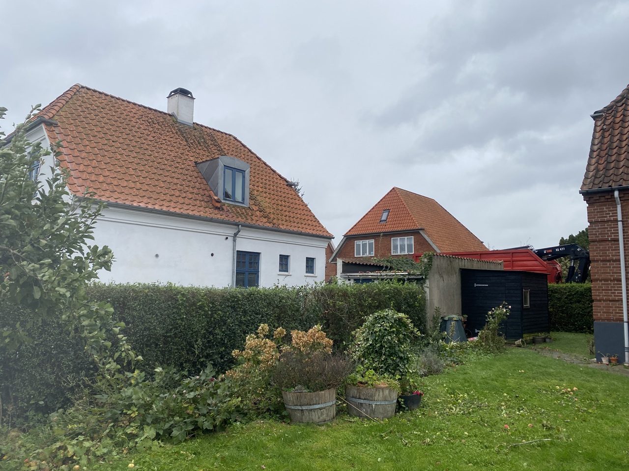 Færdigt arbejde Fredericia stormskadeservice-fjernelse-af-vaeltede-traeer-i-fredericia-1-2023-10-20-12-35-27