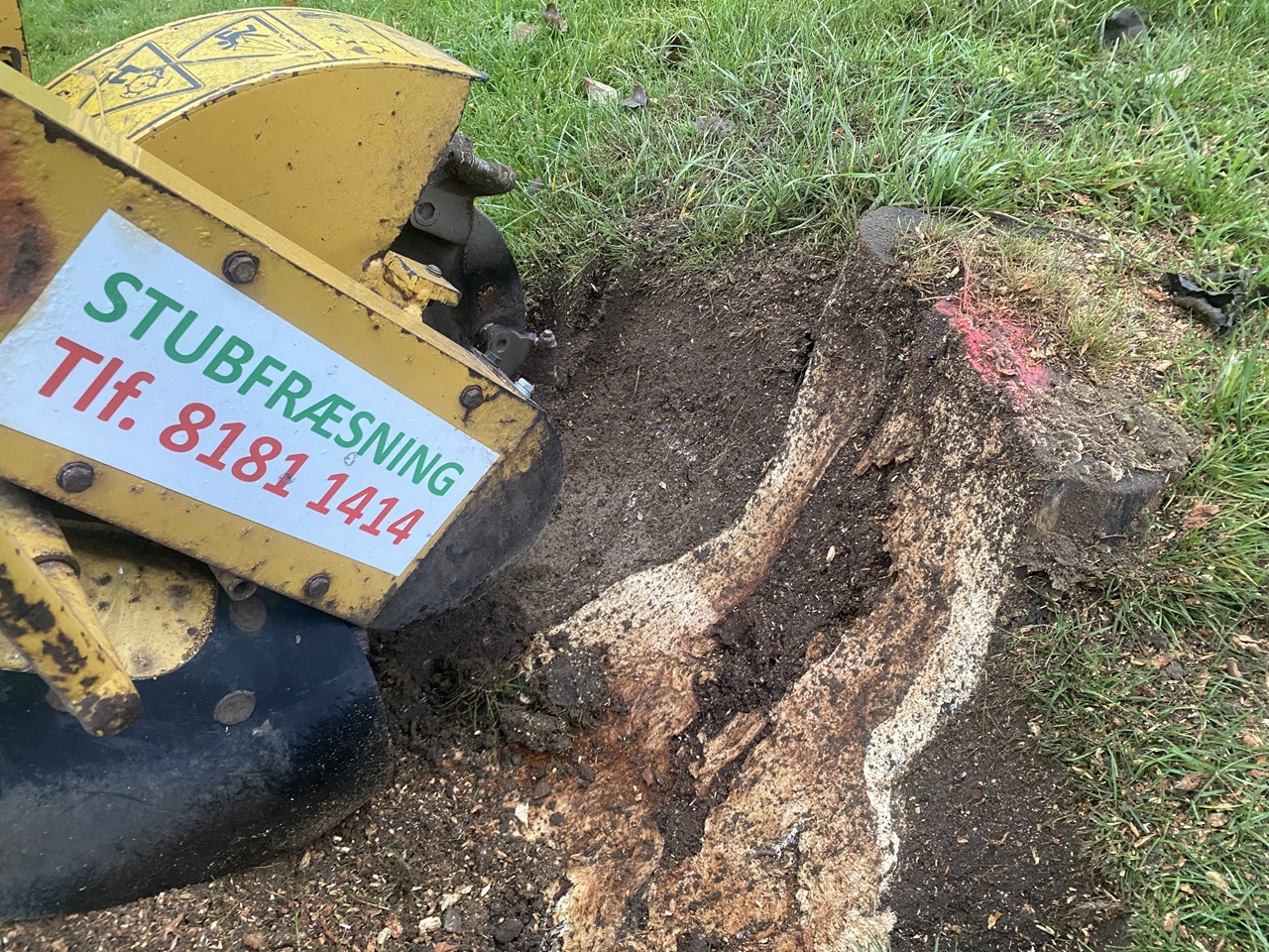 Dyb fræsning af stub i Jonstrup stubfraesning-jonstrup-dyb-fræsning-i-traestub--1-2025-12-06-14.51.51.jpg