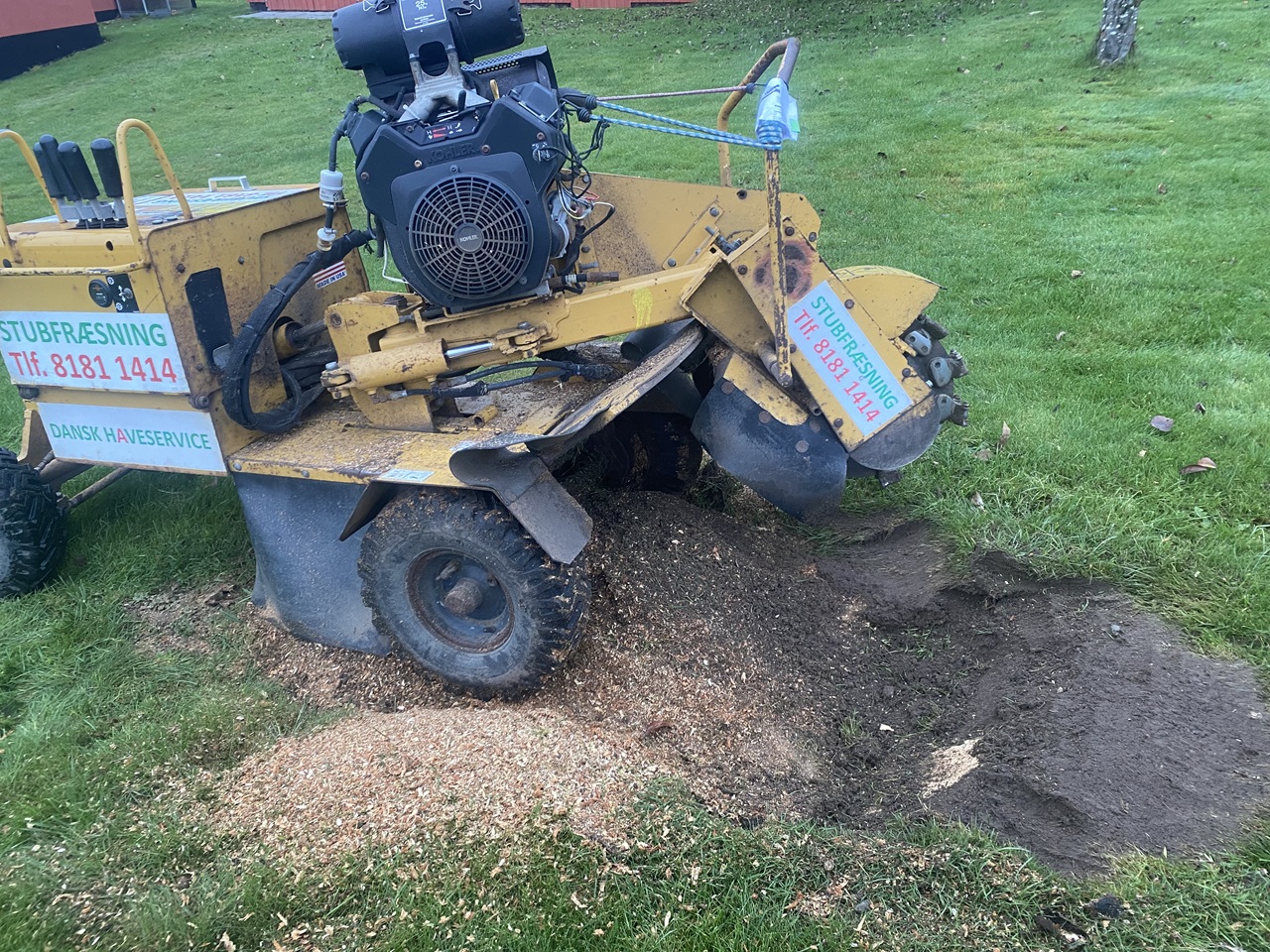 Færdigt resultat af stubfræsning i Jonstrup stubfraesning-jonstrup-maskine-fjerner-stor-stub--1-2025-12-06-15.01.53.jpg