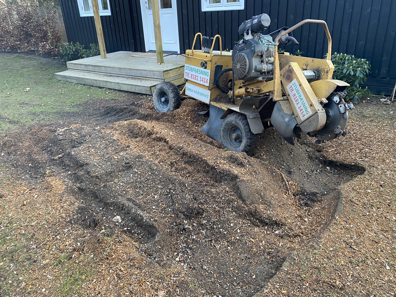 stubfraesning-raageleje-forhave-uden-traestubbe-klargjort-efter-professionel-stubfraesning--1-2024-03-04-17.06.35