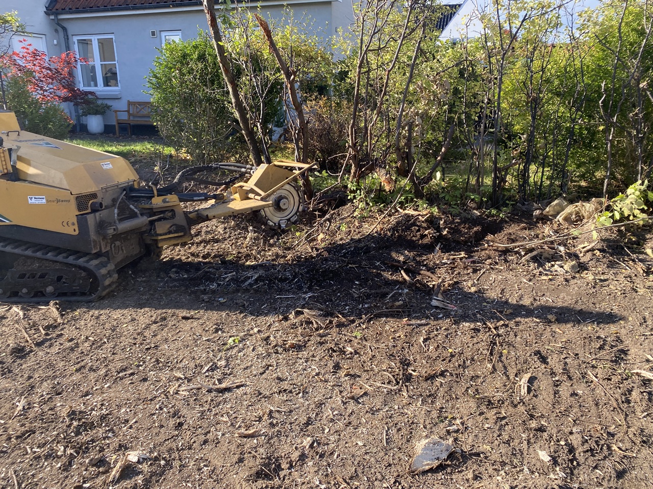 stubfraesning-fjernelse-af-smaa-traestubbe-haven-allerod--1-2025-10-17-14.22.10
