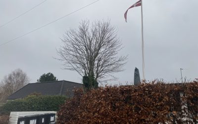 Træfældning Frederikssund – sikkert fældet højt træ i villakvarter