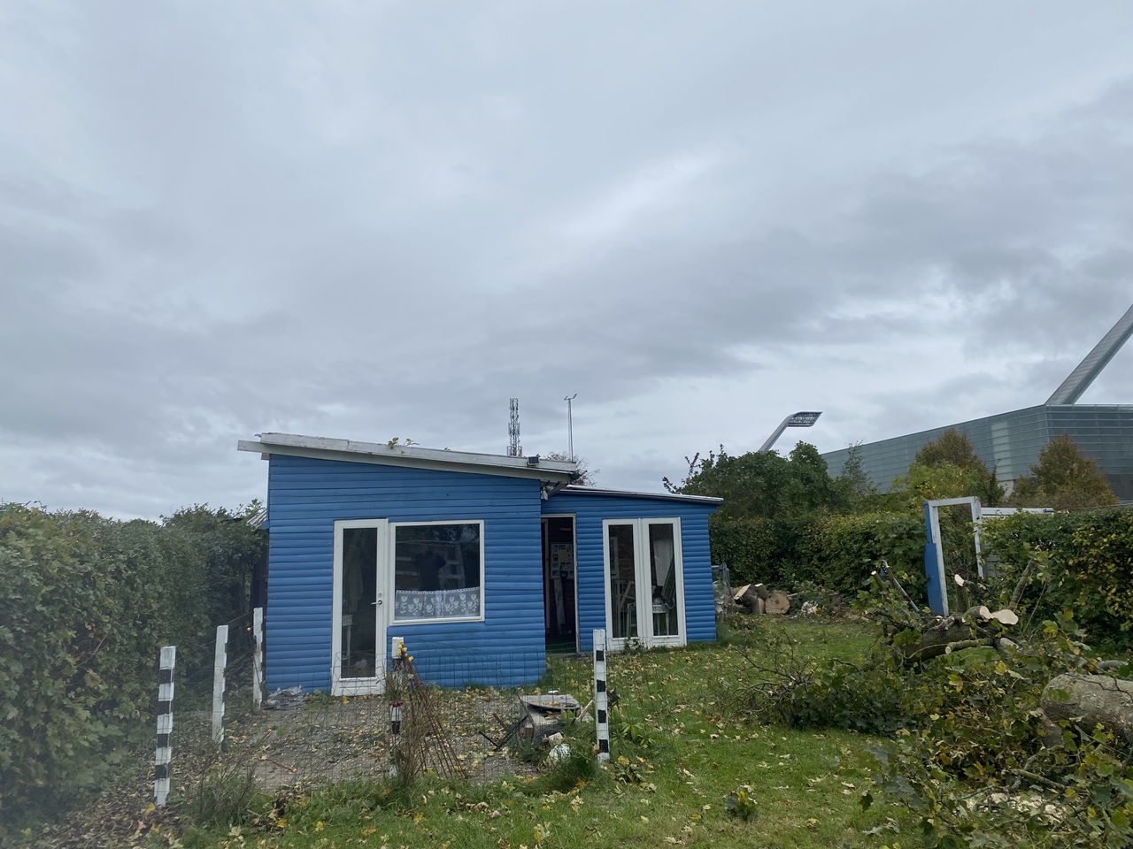 træfældning-i-kolonihave-arbejde-afsluttet-huset-intakt-1-2023-10-19-13.08.53