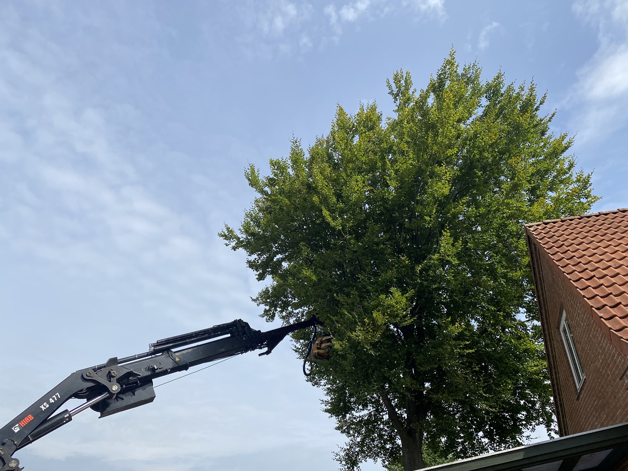 traefaeldning-jordrup-lastbil-kran-grabsav-1-2022-08-02-11-41-27