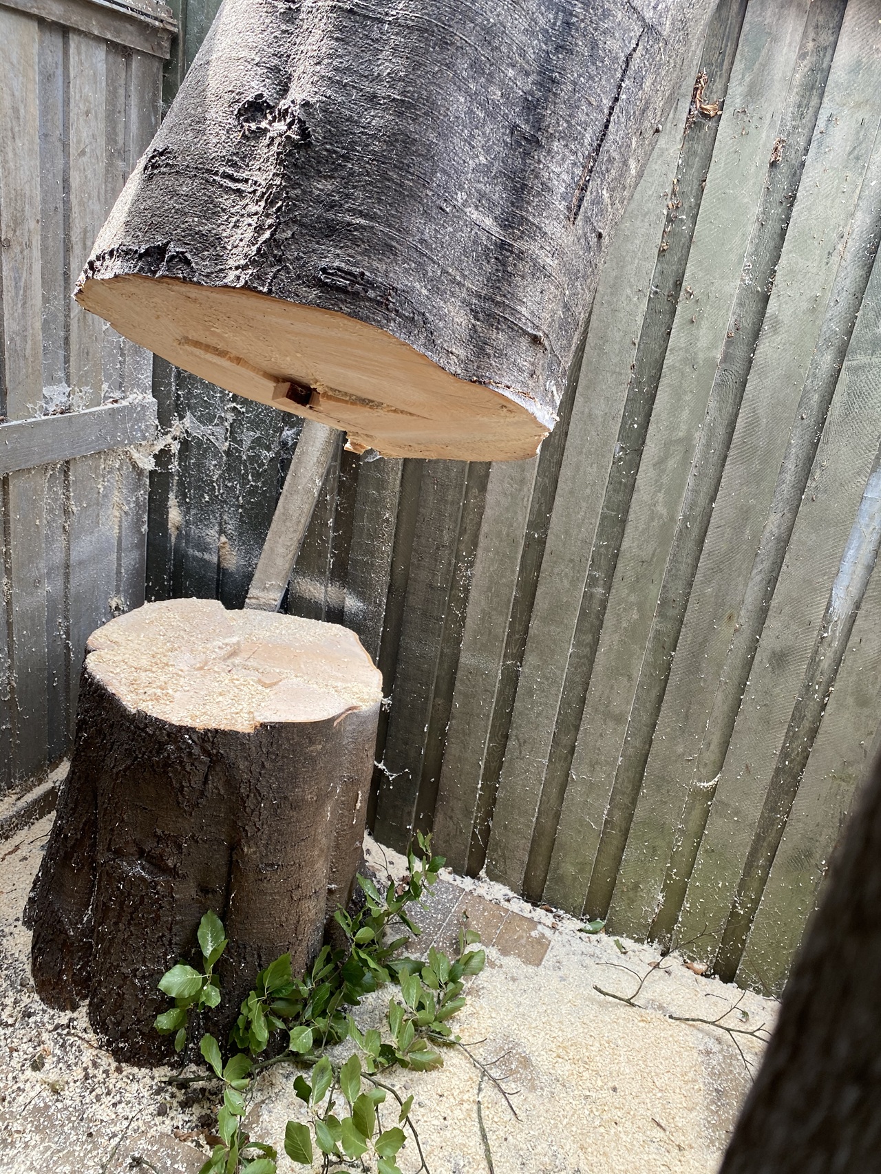 traefaeldning-jordrup-stamme-savgrab-lastbil-1-2022-08-02-12-11-35