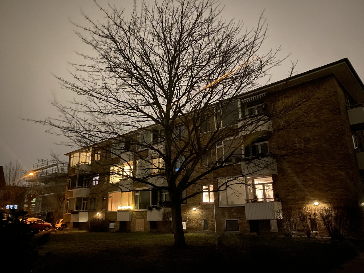 traefaeldning-frederiksberg-morgen-arbejde-1-2026-01-22-07-03-01