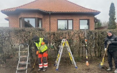 Beskæring af hæk i Utterslev Mose 2400 København NV