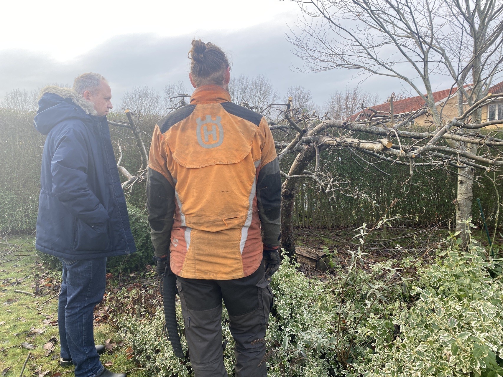 beskæring-af-æbletræ-i-slangerup-dialog-med-kunde-1-2026-01-16-12.19.13.jpg