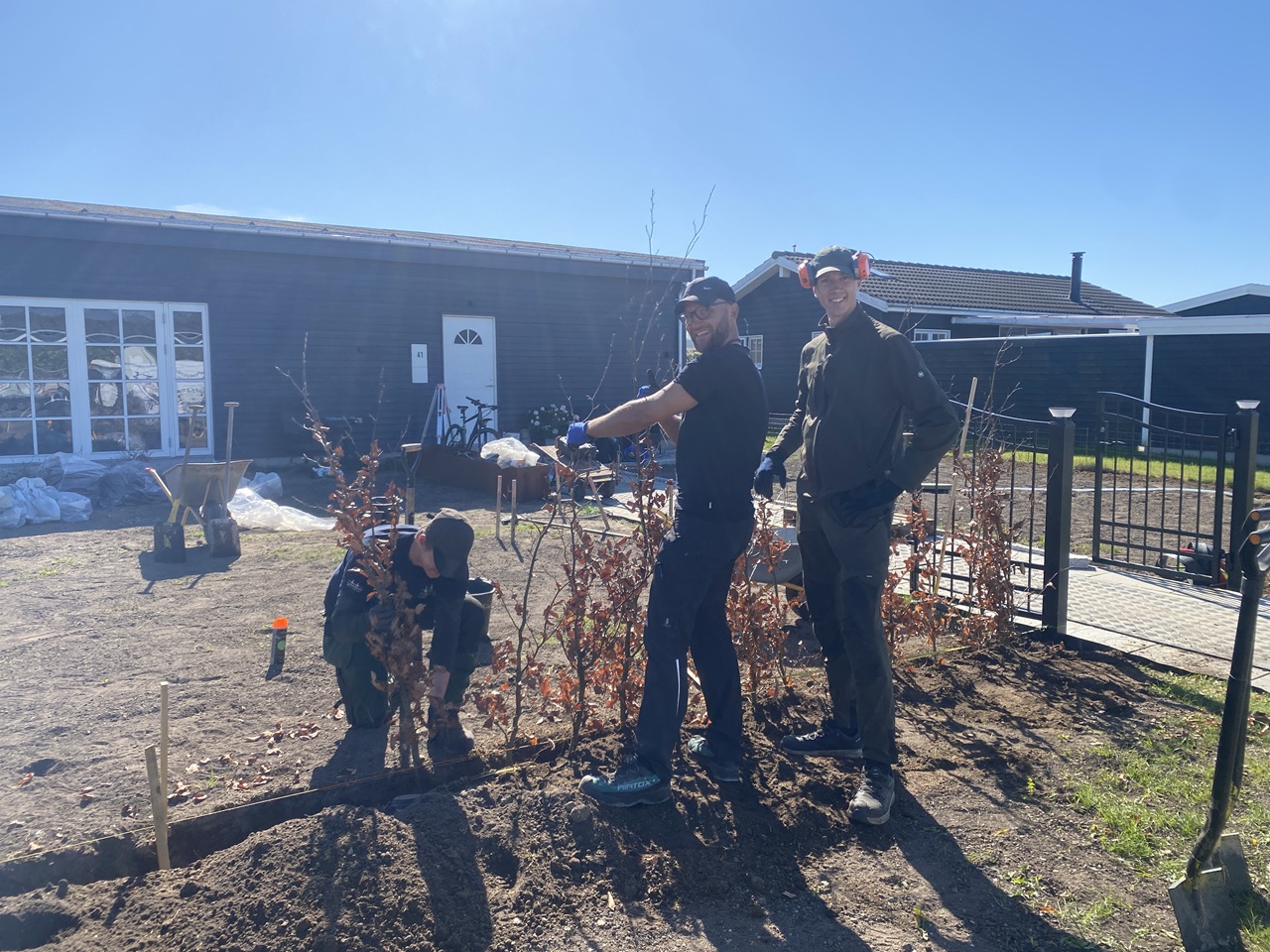 Kolonihave-haveforvandling-Koebenhavn-og-Hovedstadsomraadet-plantning-af-boegehaek-1-2026-05-08-09-47-17