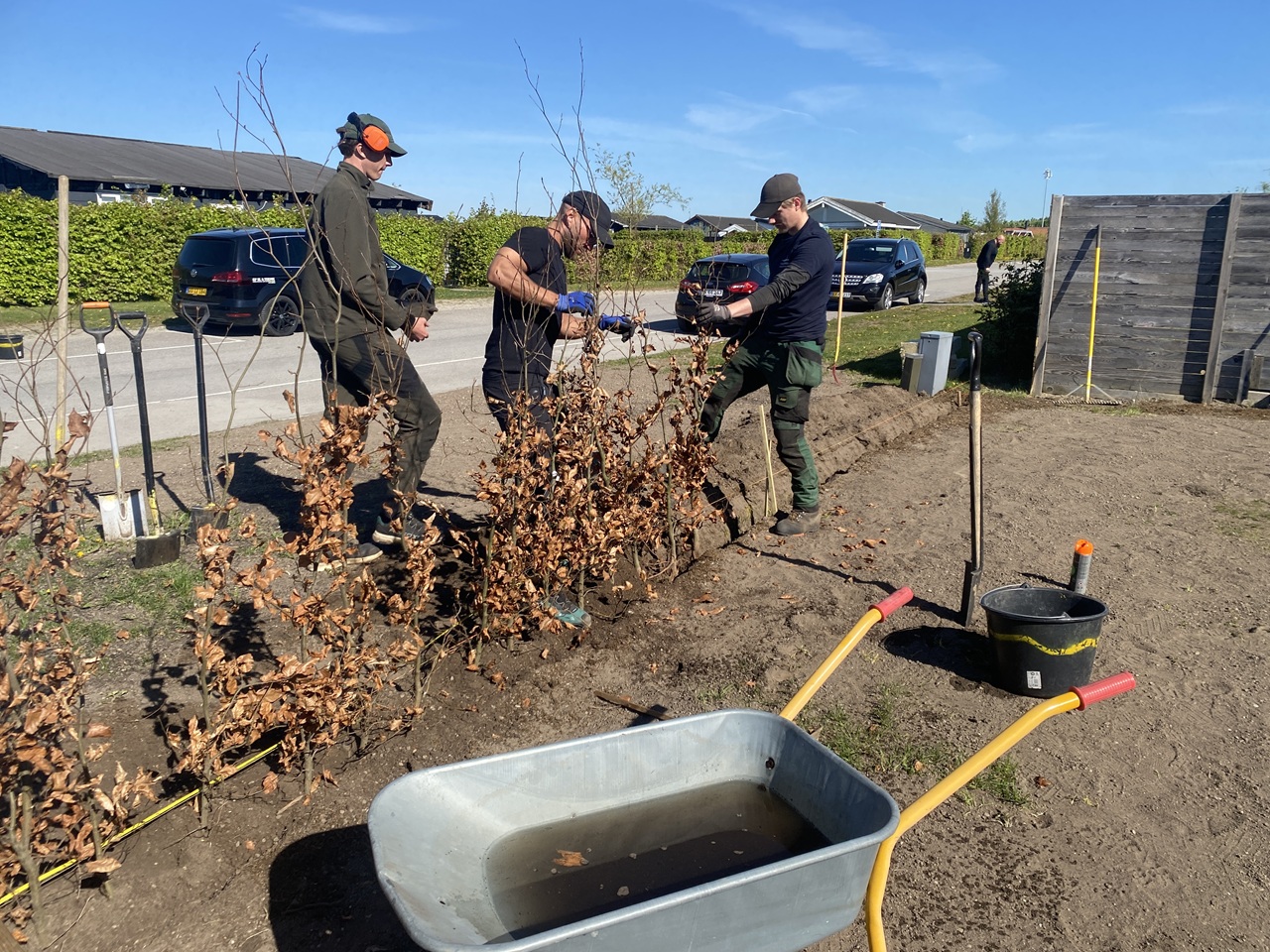 Kolonihave-haveforvandling-Koebenhavn-og-Hovedstadsomraadet-professionel-haekplantning-1-2026-05-08-09-47-33
