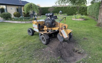 Stubfræsning Kokkedal – træstub fjernet fra smuk parcelhushave i Kokkedal