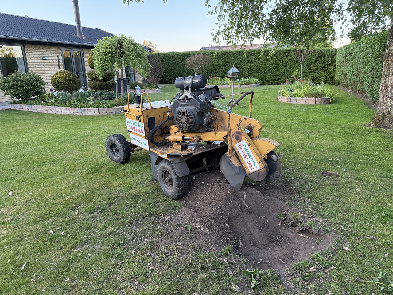 stubfraesning-kokkedal-faerdigt-resultat-i-graesplaene-1-2026-05-19-20-40-50