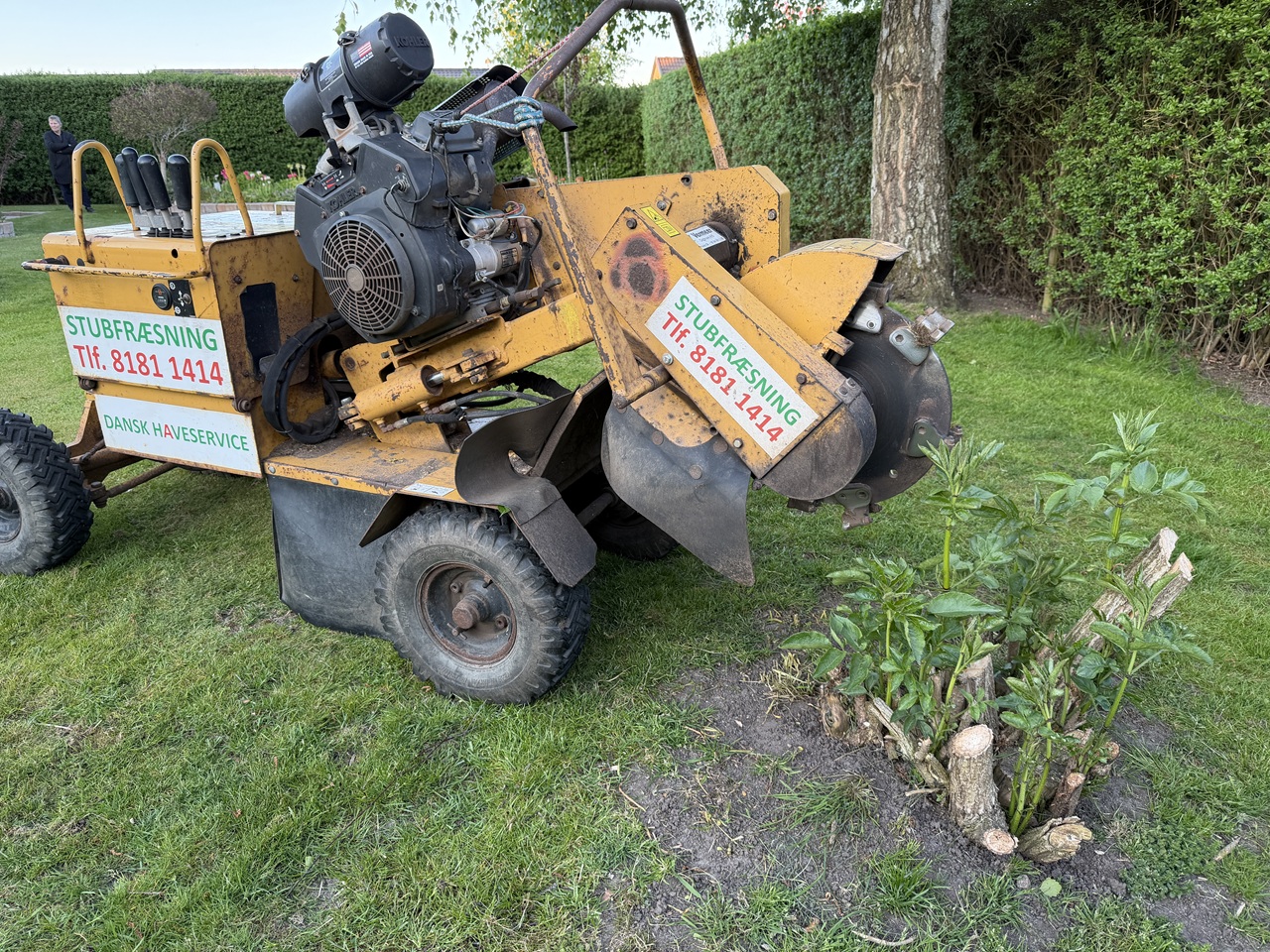 stubfraesning-kokkedal-stubfraeser-ved-traestub-1-2026-05-19-20-35-58