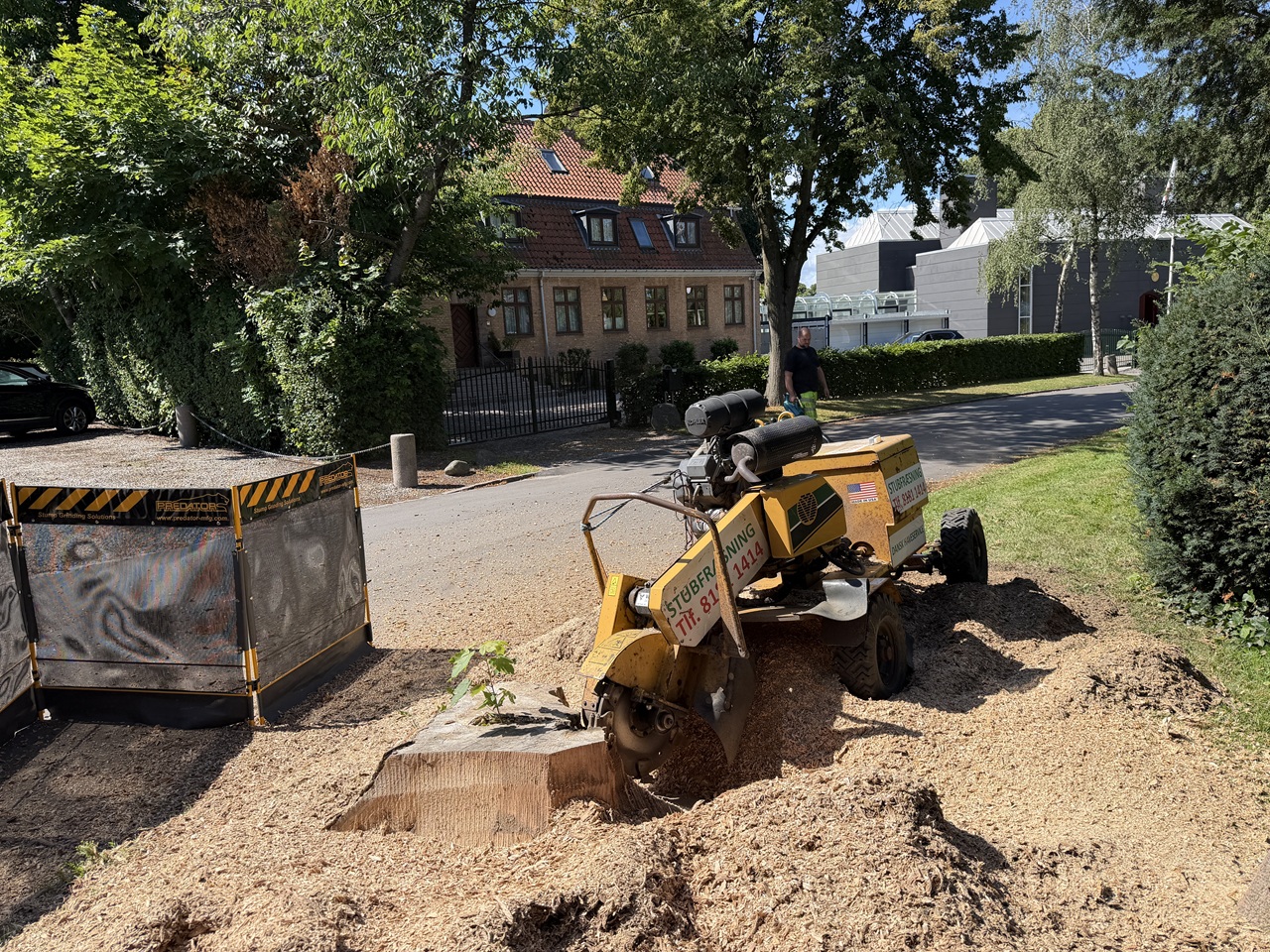 Kraftig stubfræser fjerner stor træstub Stubfræsning-i-Ambassadekvarter-kraftig-stubfræser-fjerner-stor-træstub-i-Hellerup-1-2026-07-21-11.18.31.jpg
