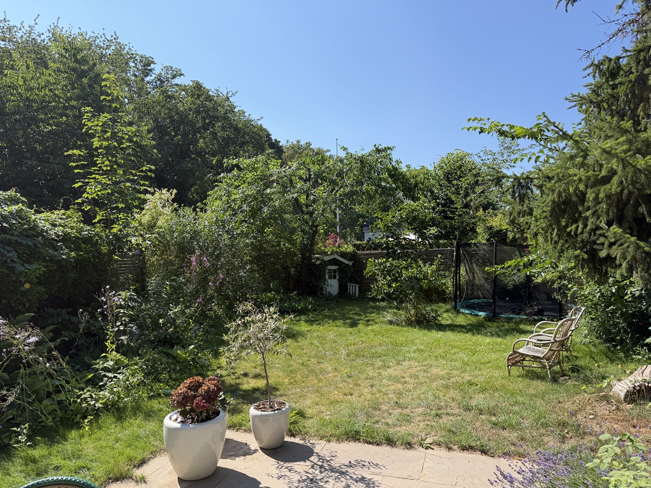 beskaering-af-kirsebaertrae-i-koebenhavn-og-nordsjaelland-mere-sol-og-luft-i-haven-charlottenlund-2026-07-16 15.35.08 beskaering-af-kirsebaertrae-i-koebenhavn-og-nordsjaelland-mere-sol-og-luft-i-haven-charlottenlund-1-2026-07-16-15-35-08.jpg