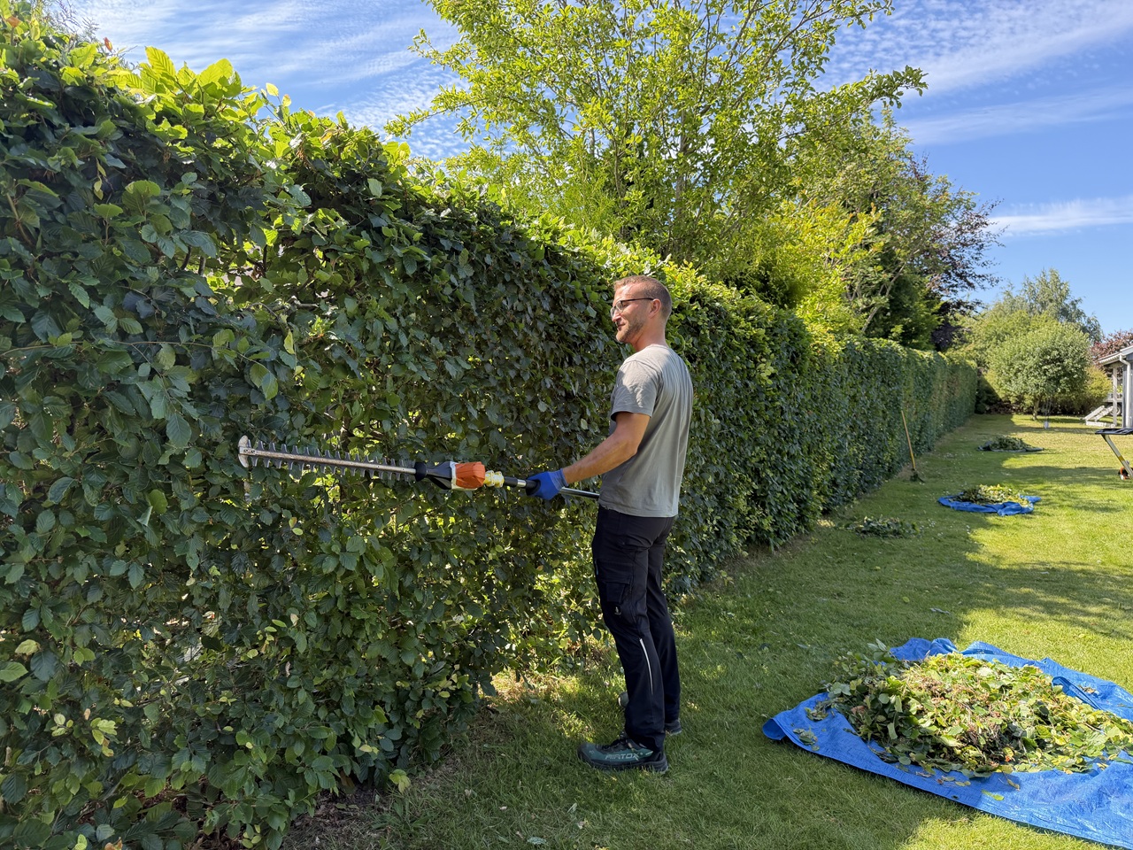 haekkeklipning-udsholt-ved-graested-stihl-stanghaekklipper-2026-07-10 12.29.25
