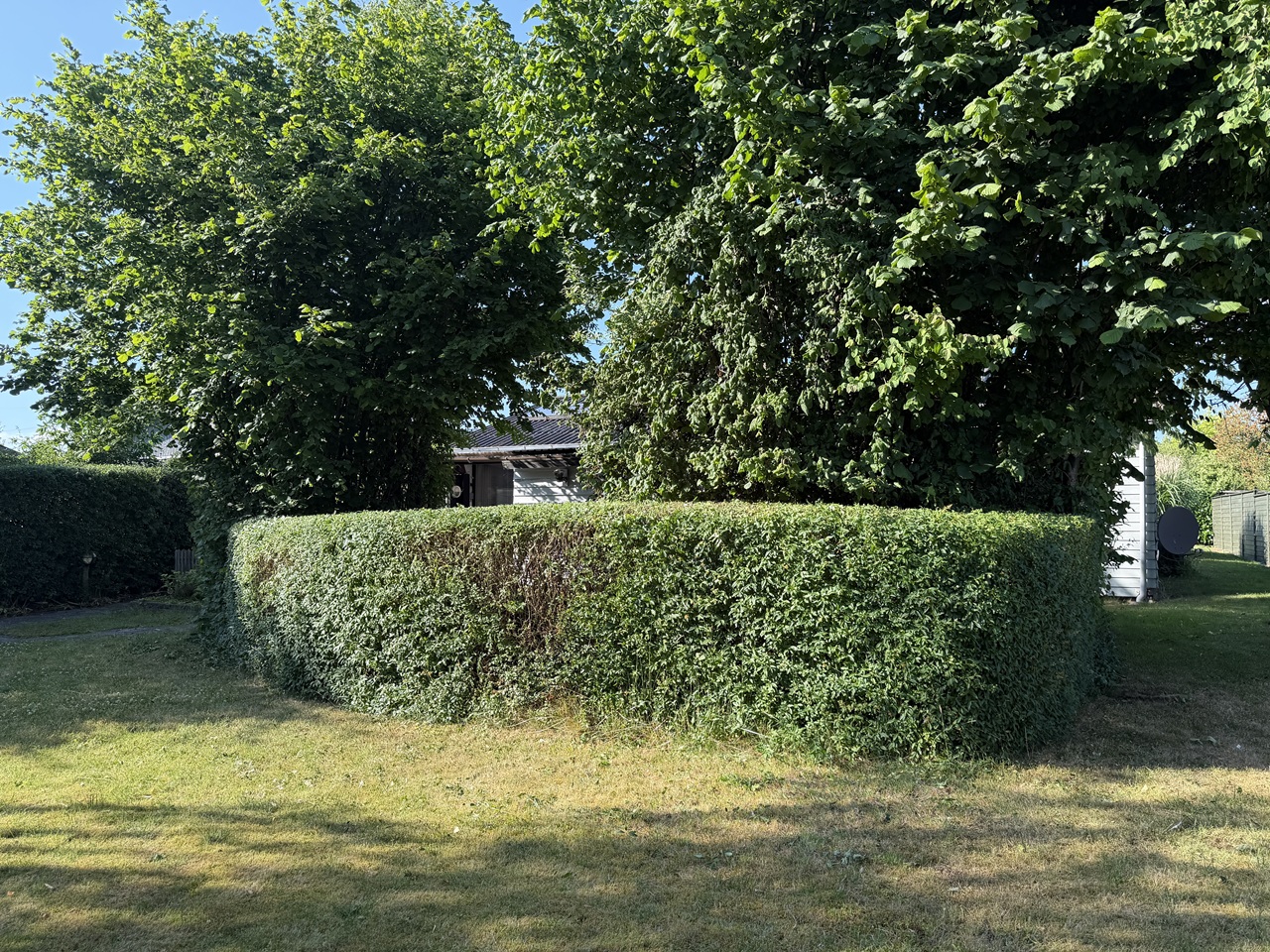 haekklipning-skovlunde-firkantet-haek-efter-klipning-2026-06-28 17.48.29