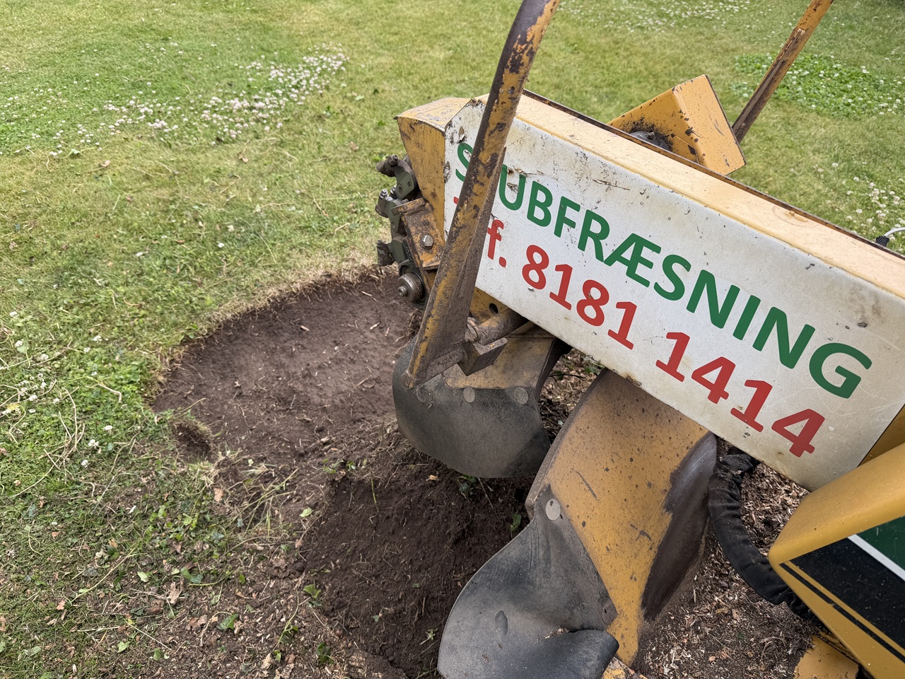 professionel-stubfraesning-i-2700-broenshoej-1-2026-06-15-14.23.24.jpg