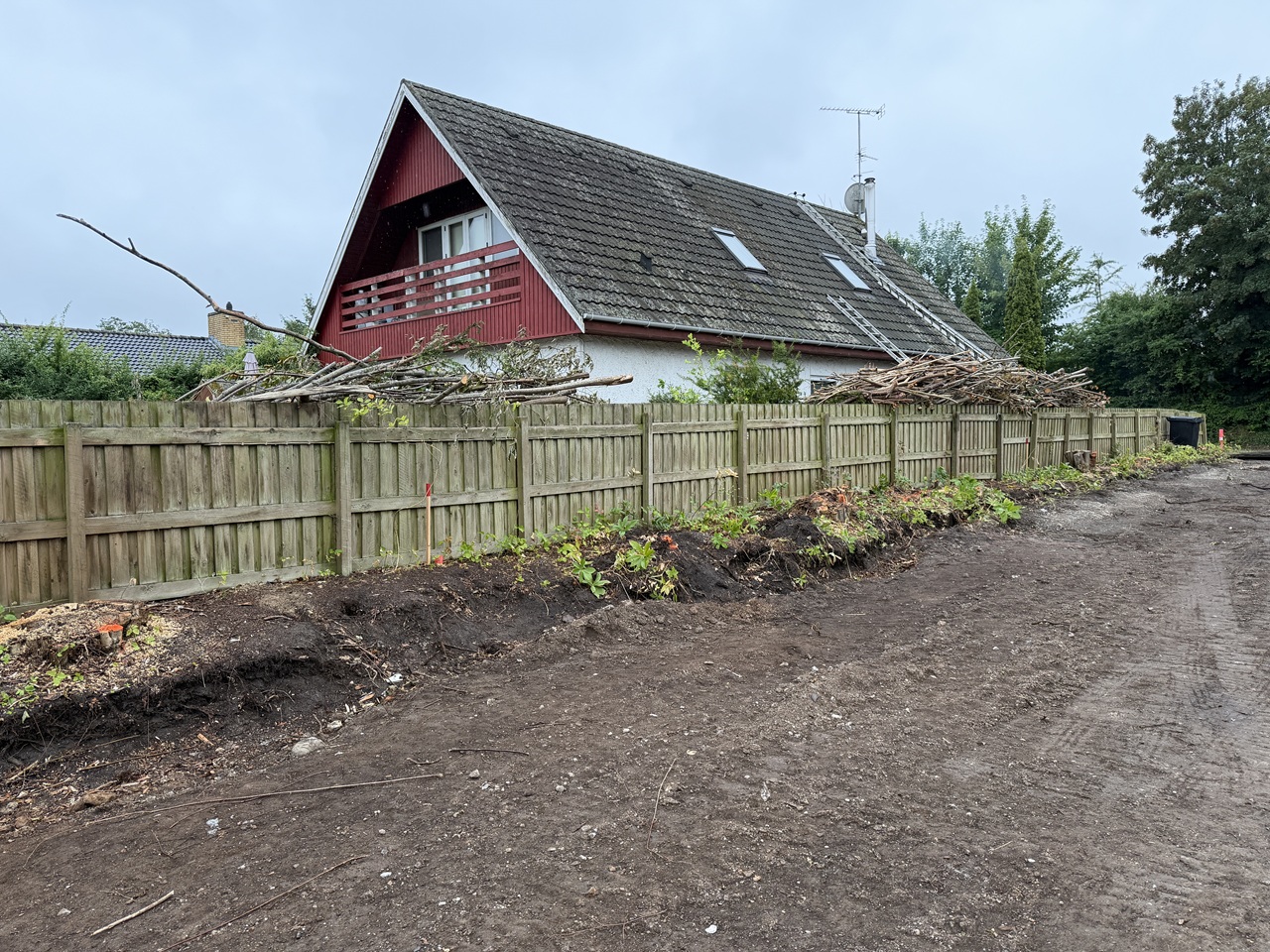 store-traestubbe-langs-skel-foer-stubfraesning-ballerup-2026-07-06 16.32.28