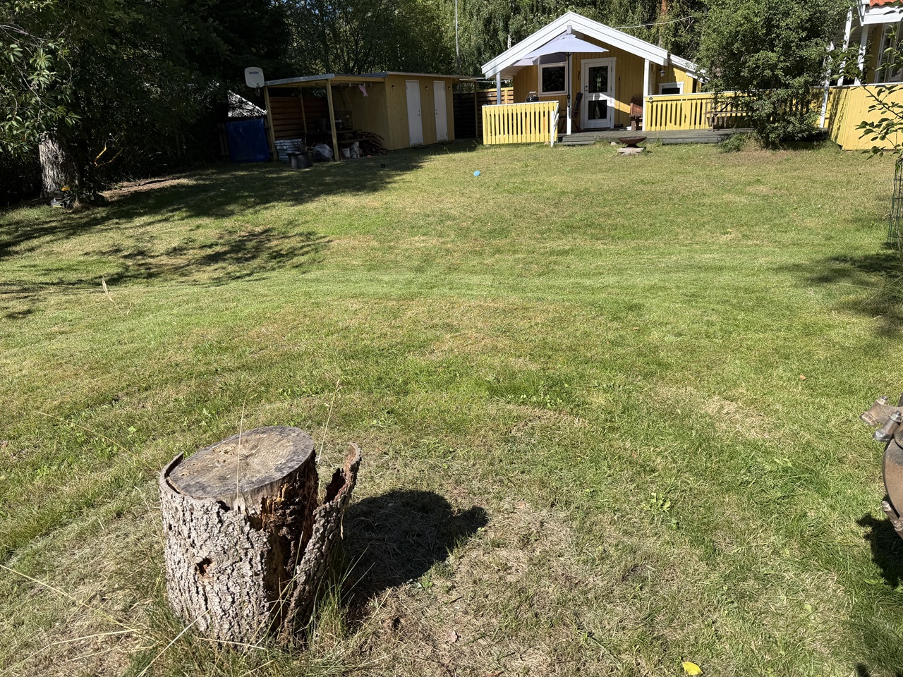 stubfraesning-hoejby-lyng-stub-midt-i-graesplaenen-2026-07-21 16.03.35