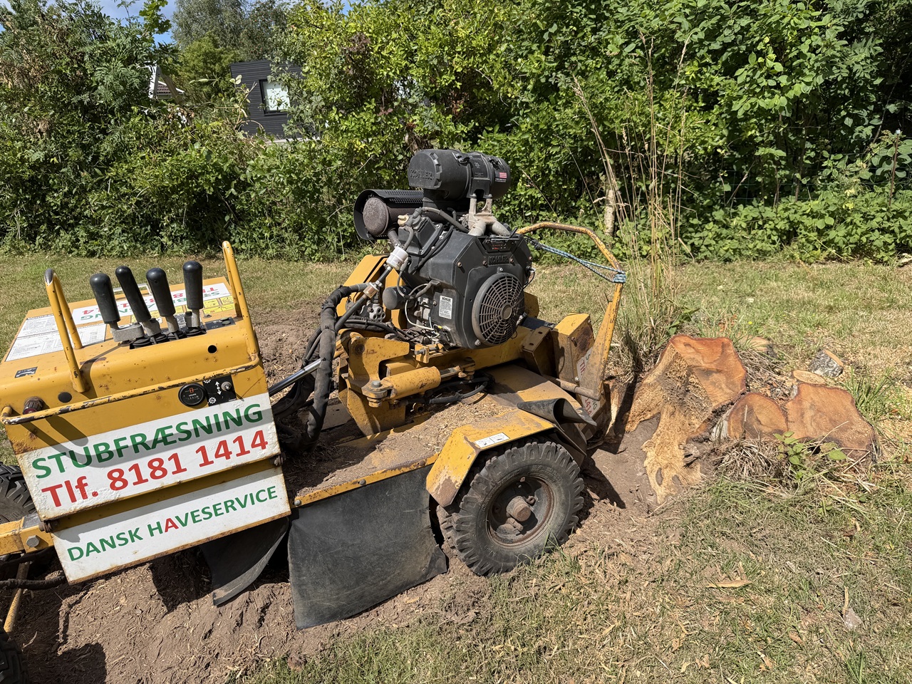 stubfraesning-i-udsholt-dansk-haveservice-fraeser-kraftige-birkestubbe-2026-07-27 13.28.09