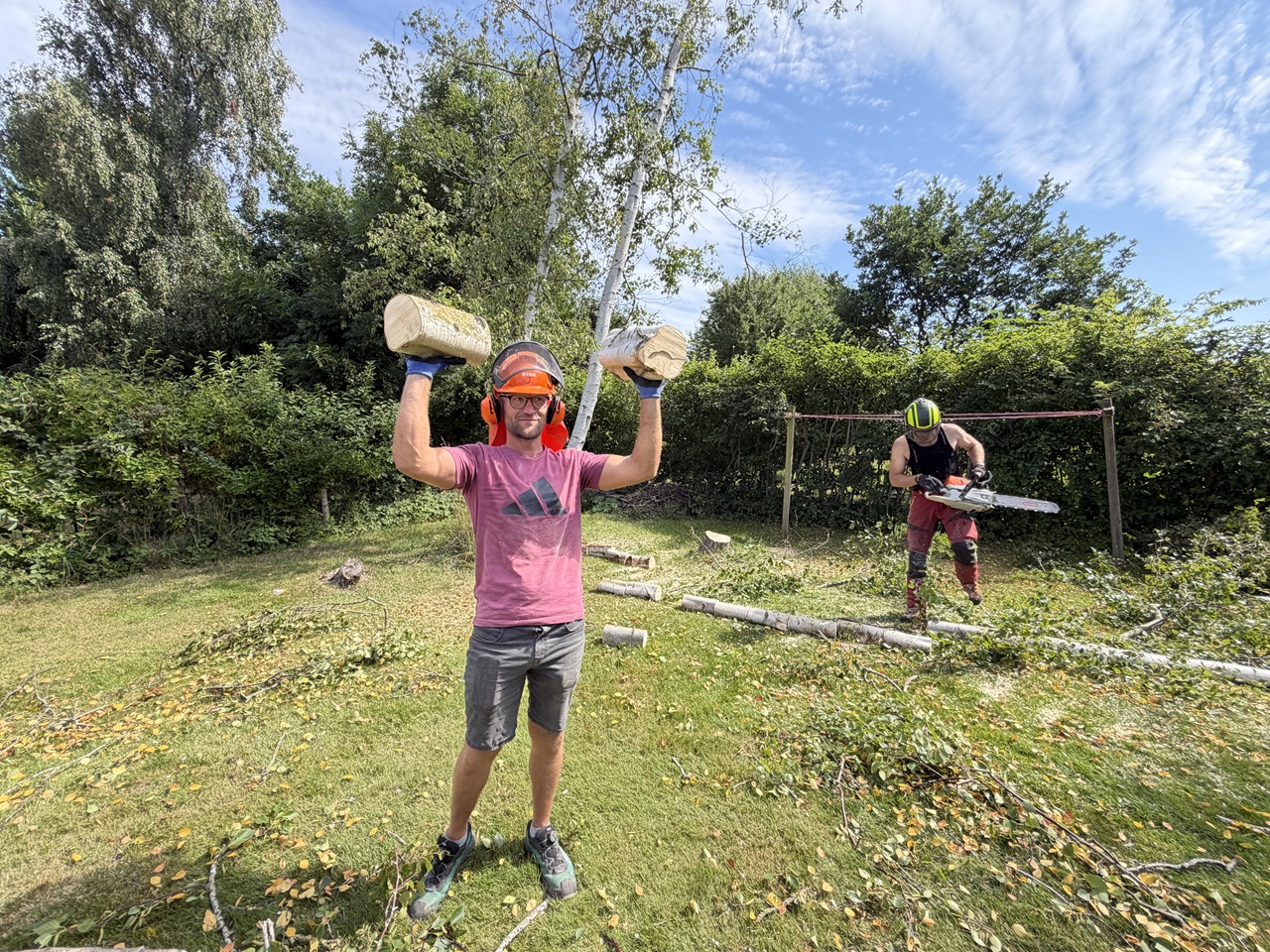 traefaeldning-i-udsholt-birkestammer-skaaret-til-braende-2026-07-16 11.02.27