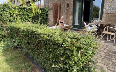 Pleje af rækkehushave på Frederiksberg – beskæring, hæk og frodig beplantning