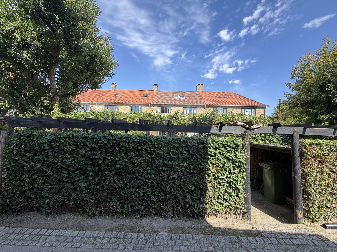 Pergola efter beskæring af klatreplante i rækkehushave på Frederiksberg.