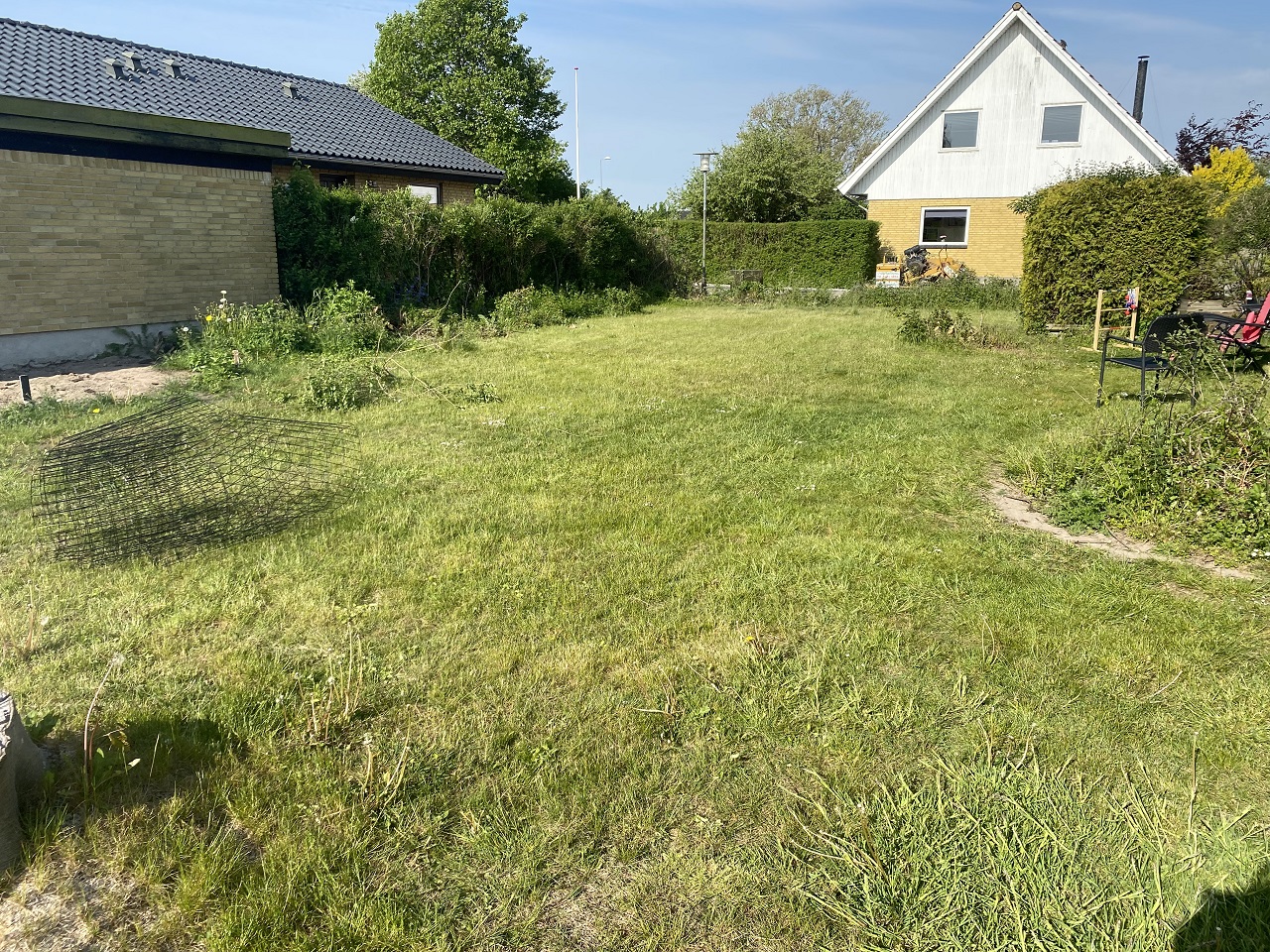 Familiehave i Næstved før stubfræsning af mange gamle træstubbe