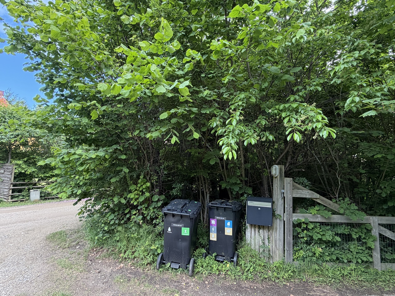 beskaering-af-naturhaek-tisvildeleje-overgroet-haek-ved-skraldespande-2026-06-10 12.19.03